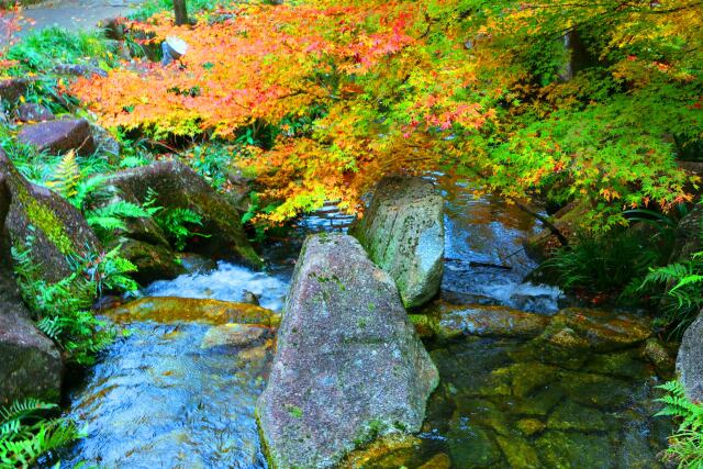 徳川園