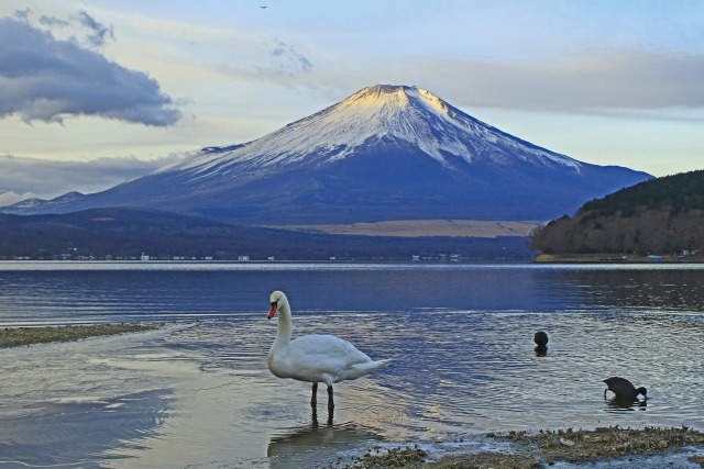 冬の富士山