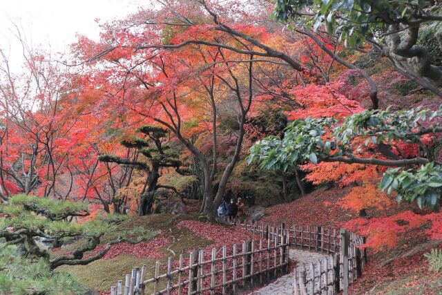 栗林公園の遊歩道