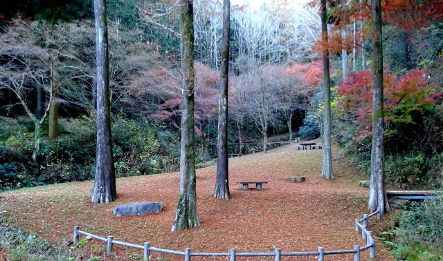 冬が近づく山の公園