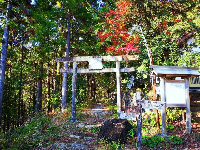 秋の熊野古道