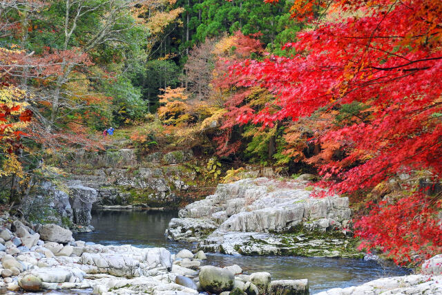 渓谷の紅葉