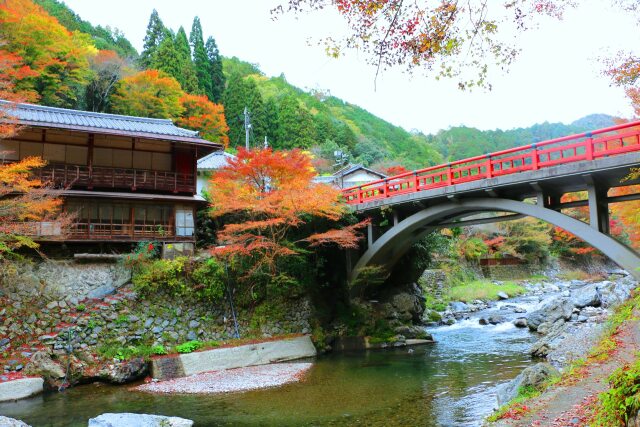 京都高雄