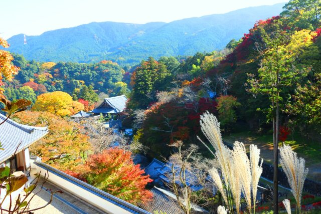 奈良長谷寺