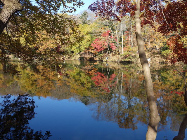 湖面に映る紅葉