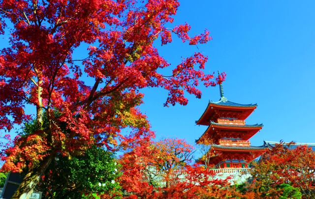 清水寺