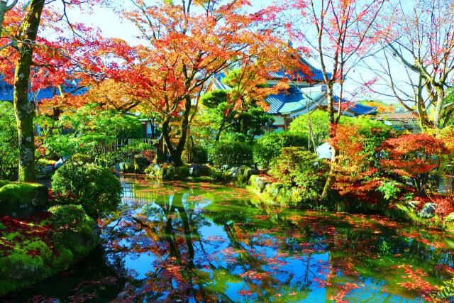 清水寺