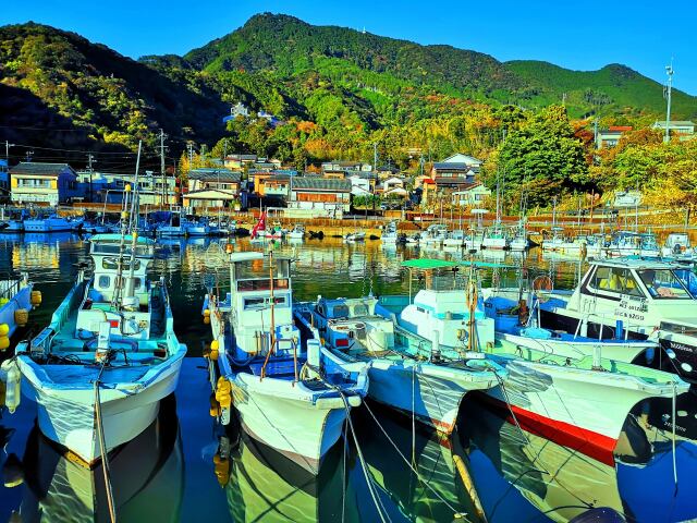 初冬の東紀州の海