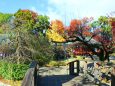 北野天満宮