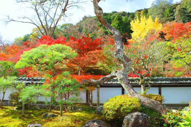 正暦寺