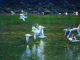 初冬の東紀州の海