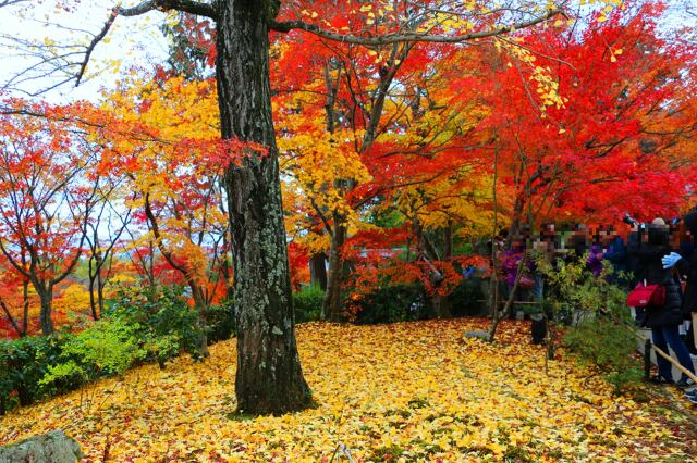 常寂光寺