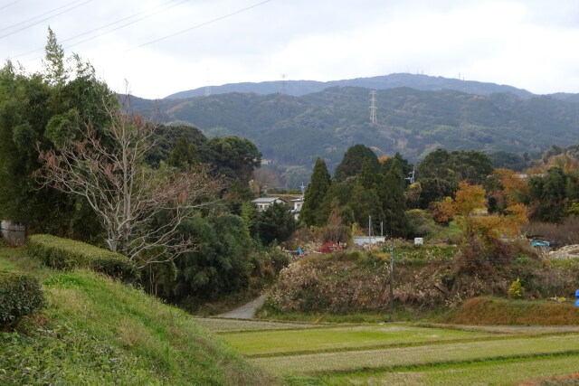 初冬の里山風景