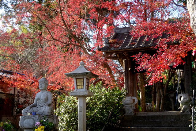 かえる寺 冬至の残り紅葉