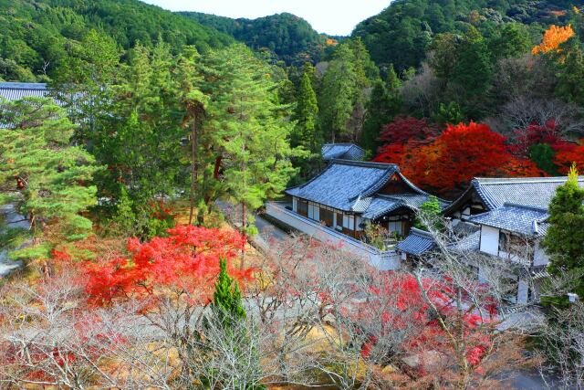 南禅寺