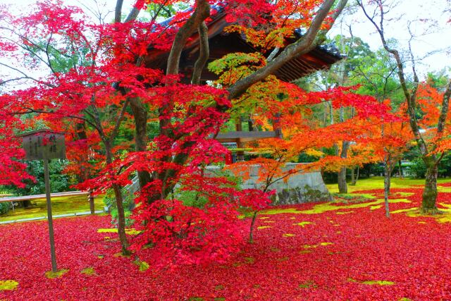 金閣寺