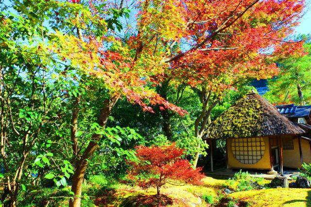 高台寺