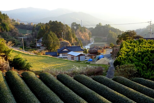 耳納山系南側の山村集落