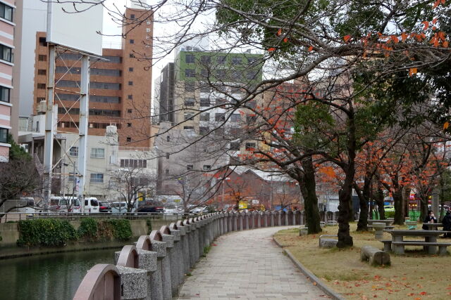 冬の都会風景