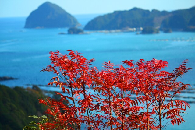 初冬の東紀州の海