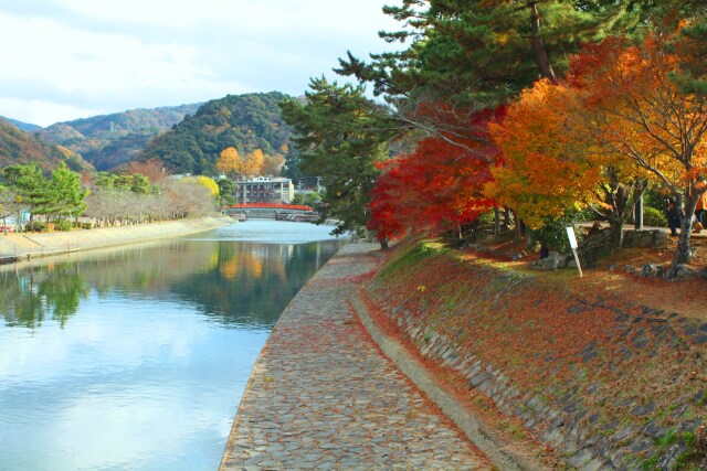 宇治川