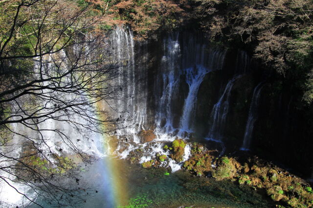 白糸の滝に虹