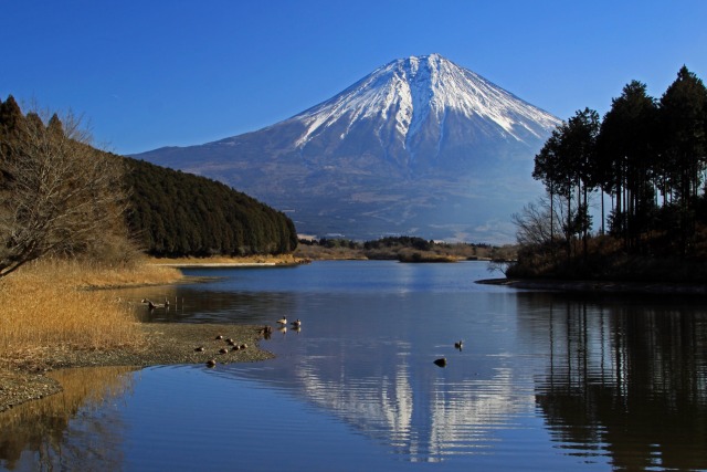 田貫湖の富士