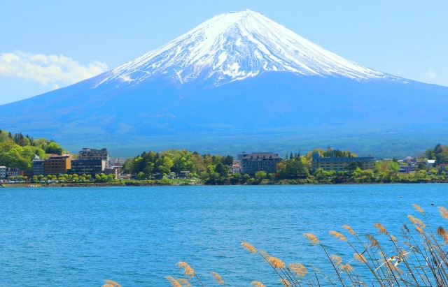 迎春 富士山