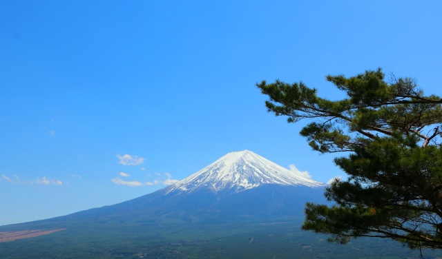 迎春 富士山