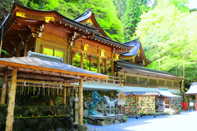 迎春 貴船神社