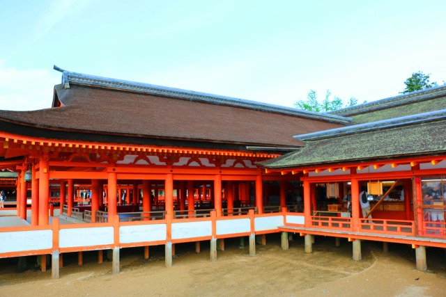 迎春 厳島神社