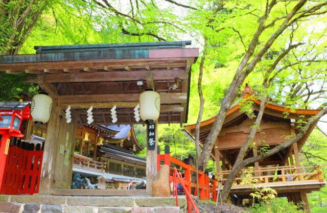 迎春 貴船神社