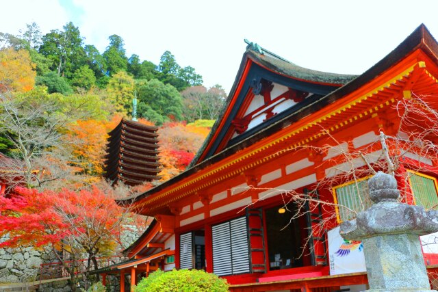 迎春 談山神社