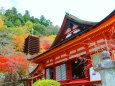 迎春 談山神社