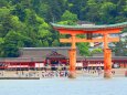 迎春 厳島神社