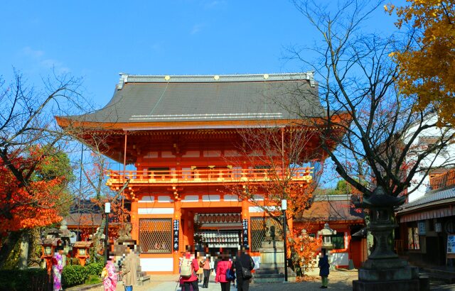 迎春 八坂神社