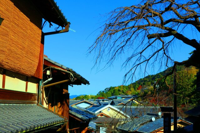 初冬の京都