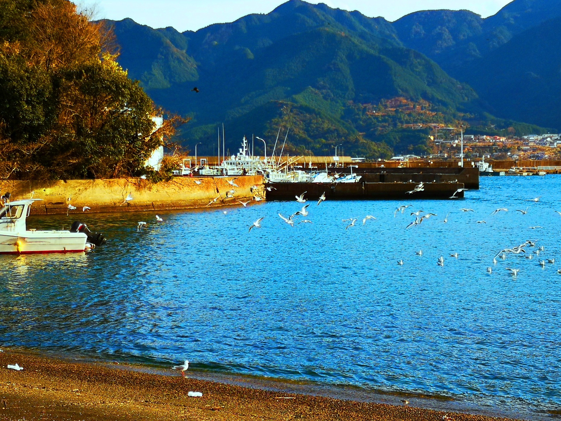 日本の風景 冬の海 壁紙19x1440 壁紙館