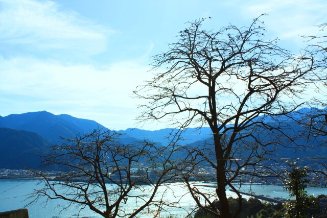 冬の東紀州の海