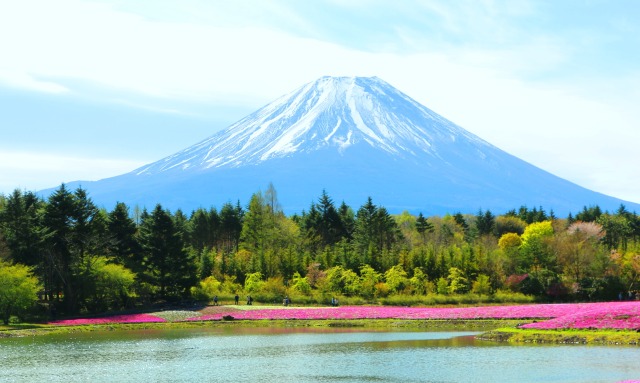 迎春 富士山