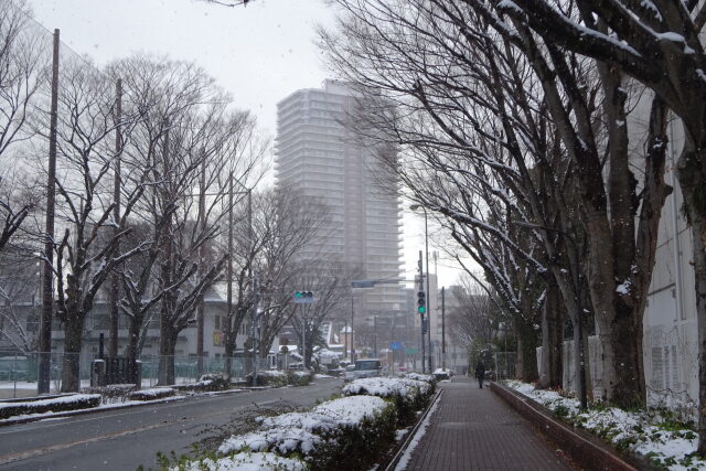 久留米駅へ辿る小雪降る道