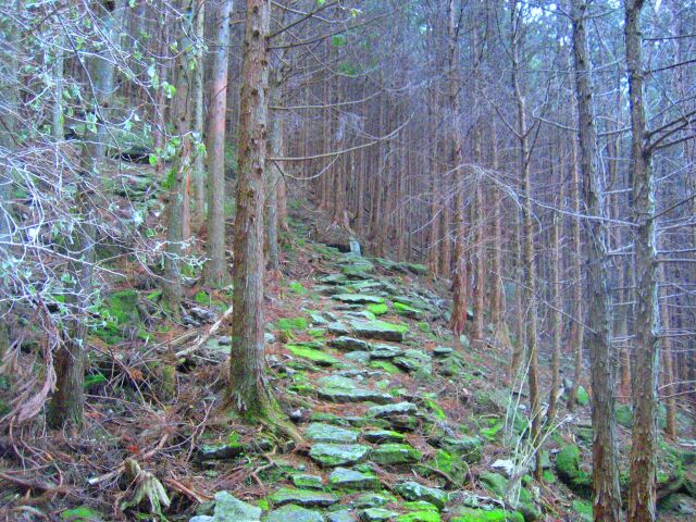 冬の熊野古道