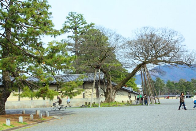 京都御所