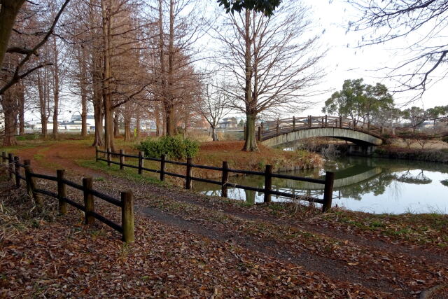 冬のクリーク公園