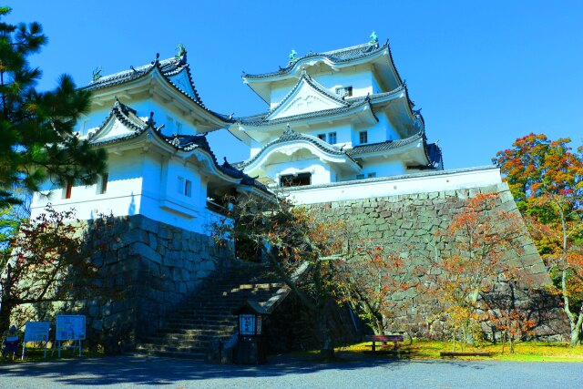 伊賀上野城