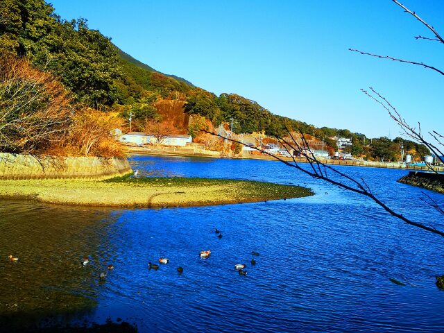 冬の東紀州の海