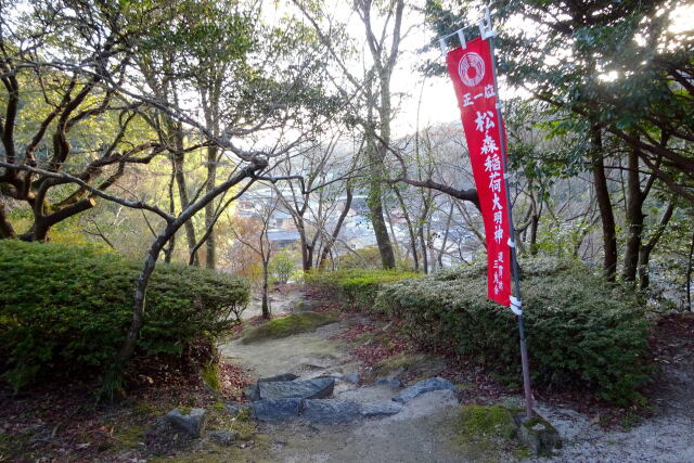 山の神社初詣の参道