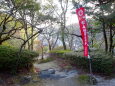 山の神社初詣の参道