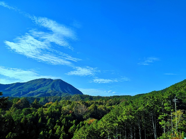 冬の熊野古道