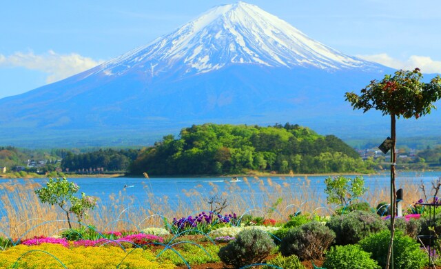 富士山